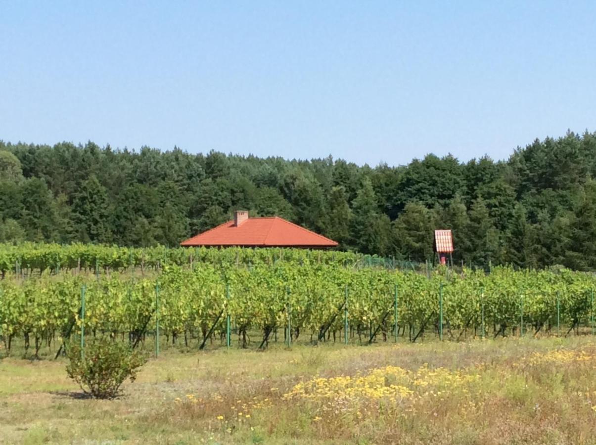 Winnica "Zabi Raj" Skarszewy エクステリア 写真